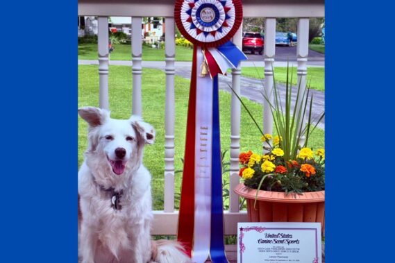 Leia