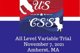 November 7, 2021