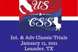 January 15, 2021 - Leander, TX